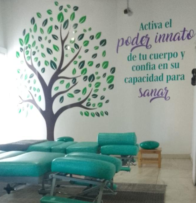 centro quiropractico en pabellon metepec